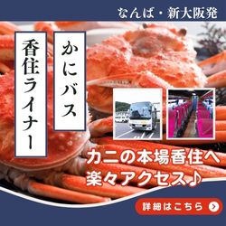 250×250サイズパターン