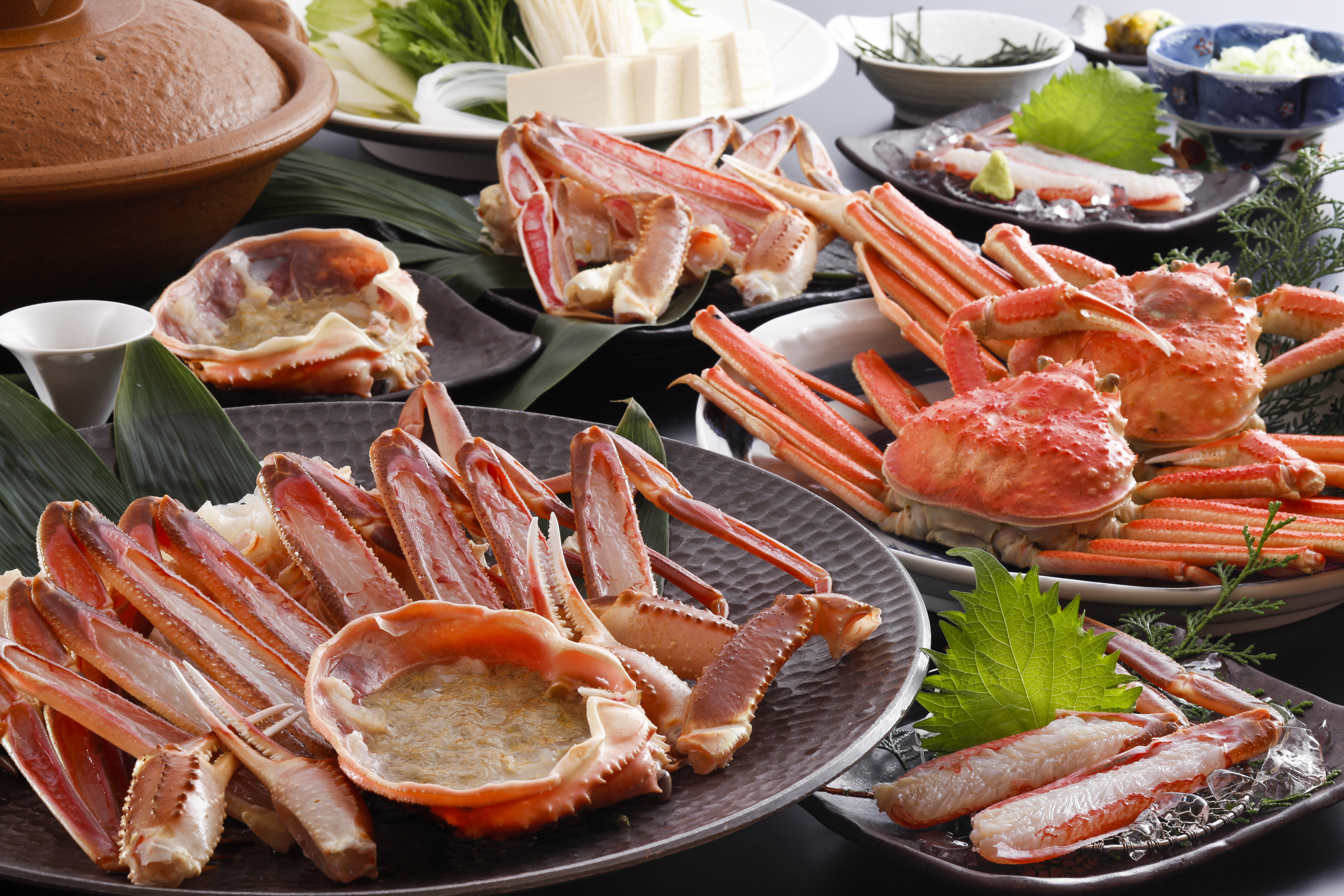 カニ料理イメージ